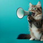 Semaine mondiale de l’entrepreneuriat à Genève – Libérez vos idées