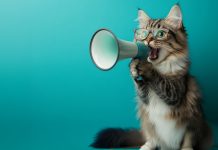 Semaine mondiale de l’entrepreneuriat à Genève – Libérez vos idées