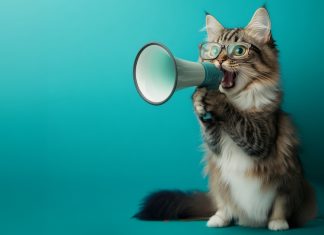 Semaine mondiale de l’entrepreneuriat à Genève – Libérez vos idées