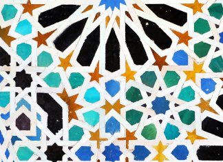 Conférence “Un monde pavé de surprises ” – 3 février