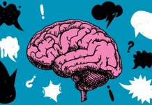 Semaine du cerveau 2026 «Ça vous parle?»