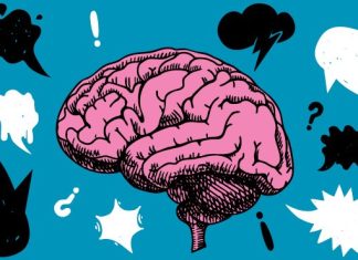 Semaine du cerveau 2026 «Ça vous parle?»