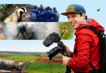 Projection du film « Le Vivant qui se défend »