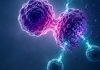 Conférence “Cancer – décrypter la maladie pour mieux la combattre”