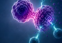 Conférence « Cancer – décrypter la maladie pour mieux la combattre »